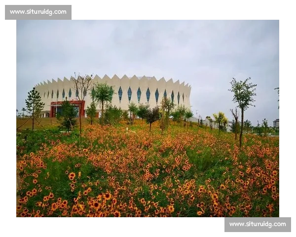 激战进行时篮球比分实时更新带你掌握全场节奏 - 副本 - 副本 - 副本