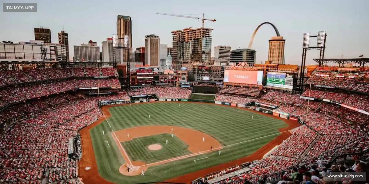 行业领先的理由